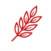 Wheat illustration